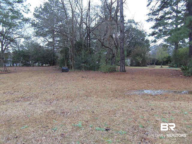 1st image of 804 Hodgson Ln