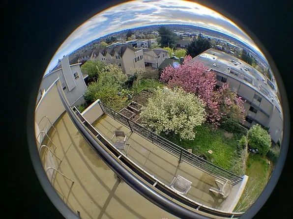 4333 Phinney Ave N #1, Seattle, WA 98103