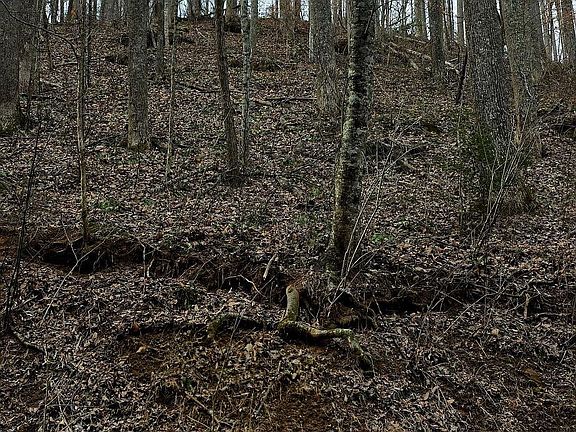 2nd image of Emerald Springs Loop