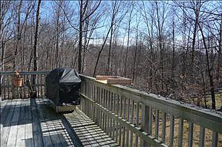 5th image of 10 Shenorock Dr