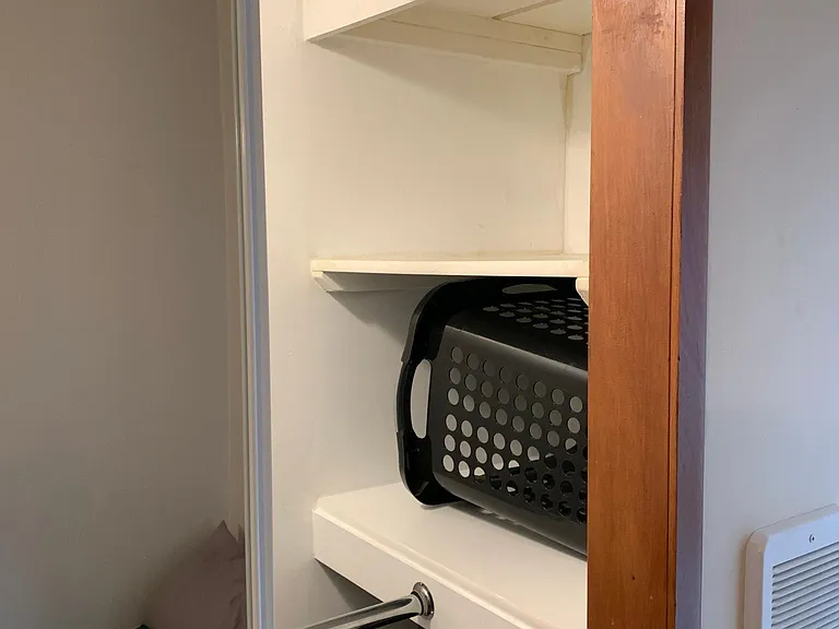 Shelves in back BR closet, both ends