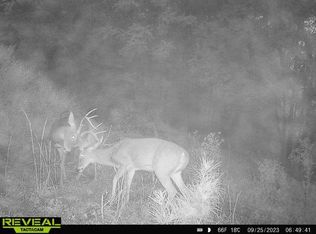 16872 Railroad Cut Rd, Rogers, AR 72756