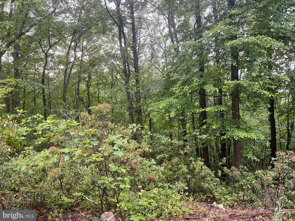 Lots 16 17 18 Halterman Dr, Capon Bridge, WV 26711