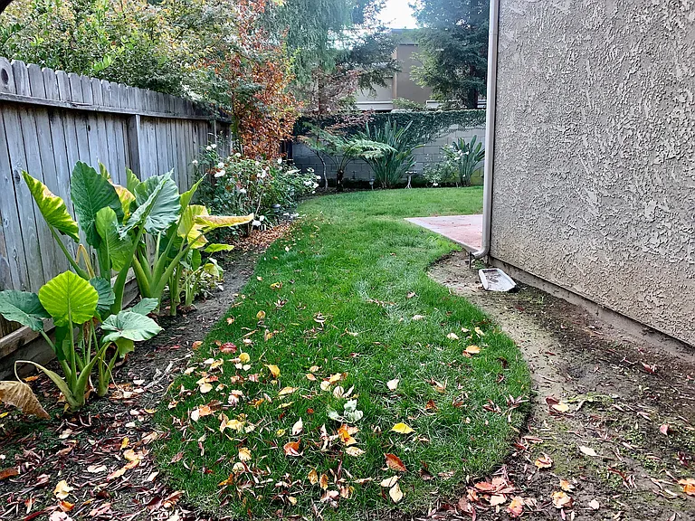 1023 E Freedom Ave — Photo 22