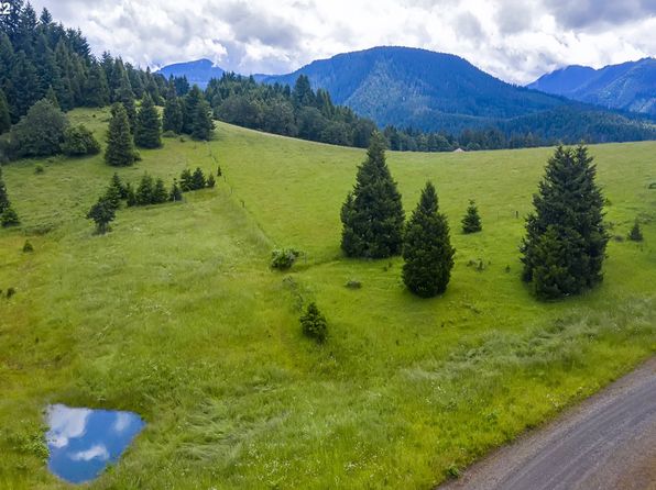 0 Bugle Loop, Oakridge, OR 97463