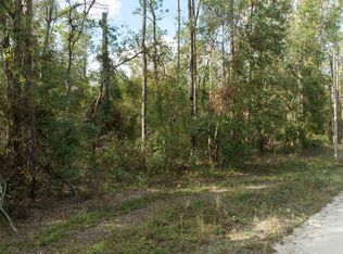 Tbd 213th Rd, Live Oak, FL 32060