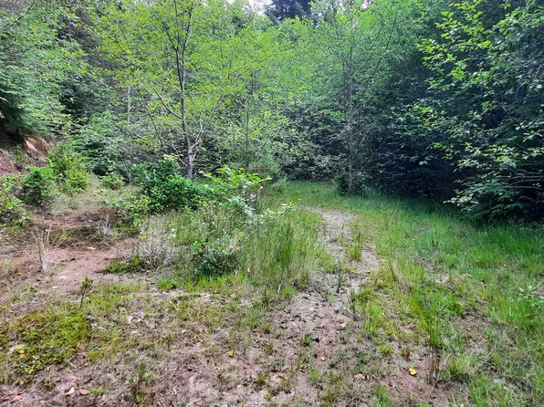 Tl 3300 Sw Newton Dr, Waldport, OR 97394