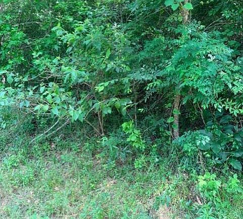 5th image of 14388 Baxter Rd