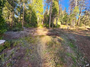 1919 Lily Valley Cir, West Point, CA 95255