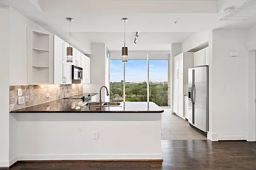3333 Allen Pkwy #801 Photo 1