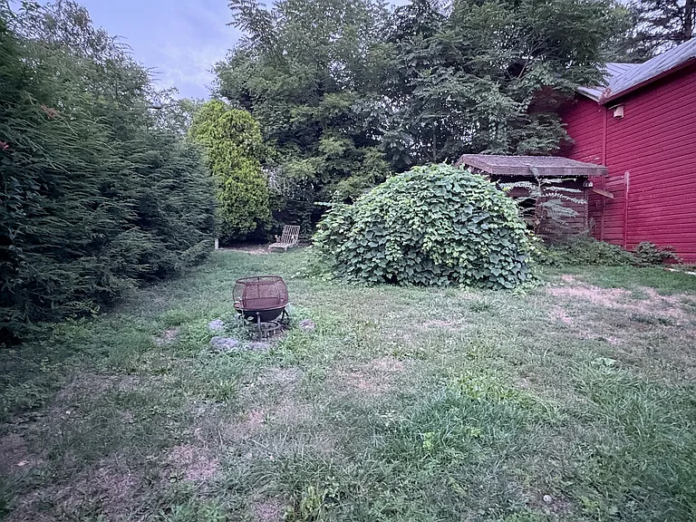 Shared Backyard