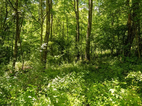 LOT 23 Lake Island Dr, Belington, WV 26250