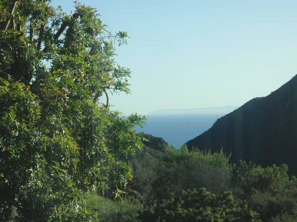 1782 Palisades Dr, Pacific Palisades, CA 90272