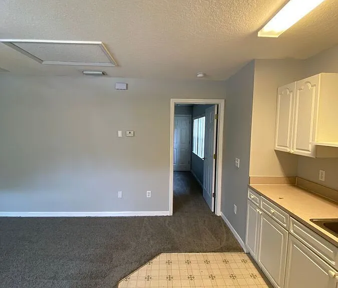 613 Coconut Palm Way — Photo 3