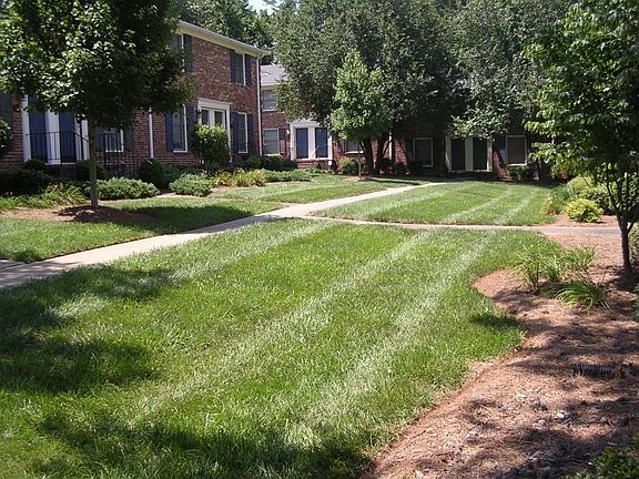 Courtyard View from Front Door