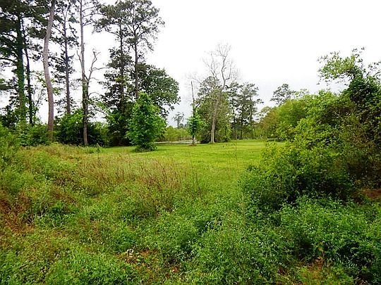 4th image of 419 Forest Cove Dr