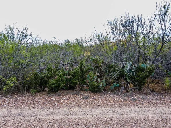87 Village East Hillside Acres, Laredo, TX 78043