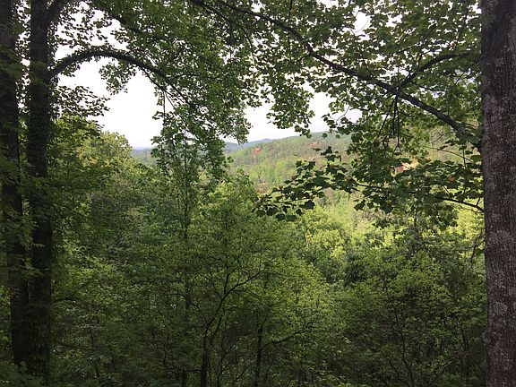5th image of 2558 Wildcat Ridge Rd