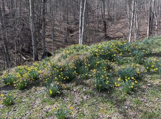 Tbd Highway 19e, Newland, NC 28657