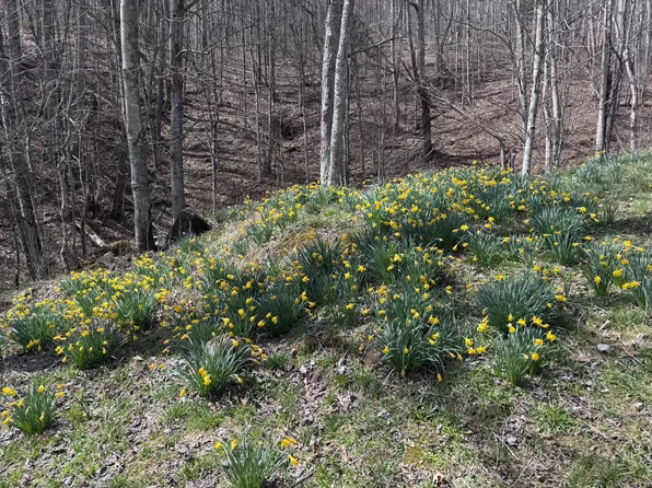 Tbd Highway 19e, Newland, NC 28657