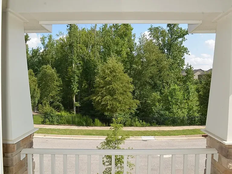 1619 Main Divide Dr — Photo 6