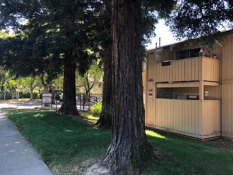 5920 Van Alstine Ave — Photo 22