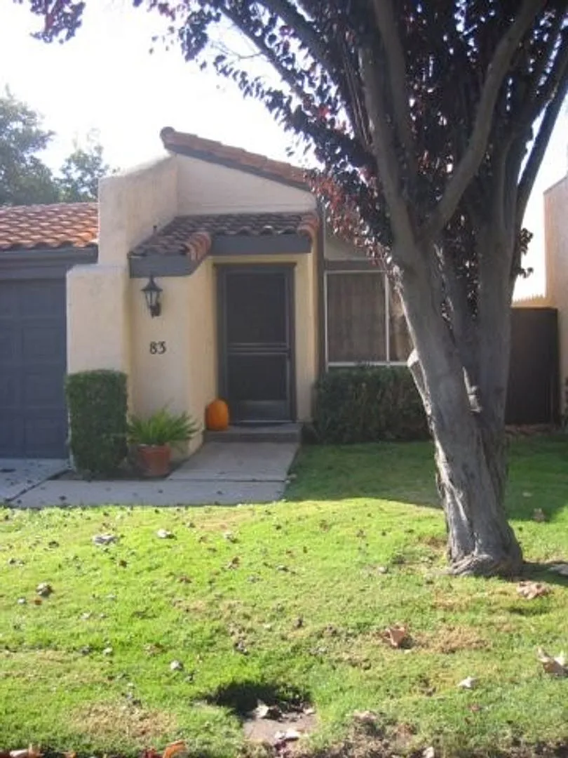3 Bedroom 2 Bathroom House Available in February! — Photo 3