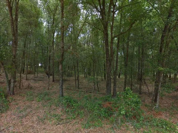 6355 E Peach St, Inverness, FL 34452