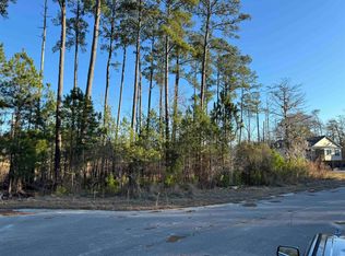 148 Black Harbor Dr, Conway, SC 29526