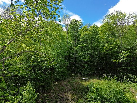 5th image of 197 Sugar Ledge Road #4