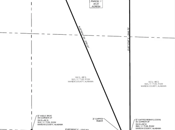 000Z State Highway 44, Brilliant, AL 35548