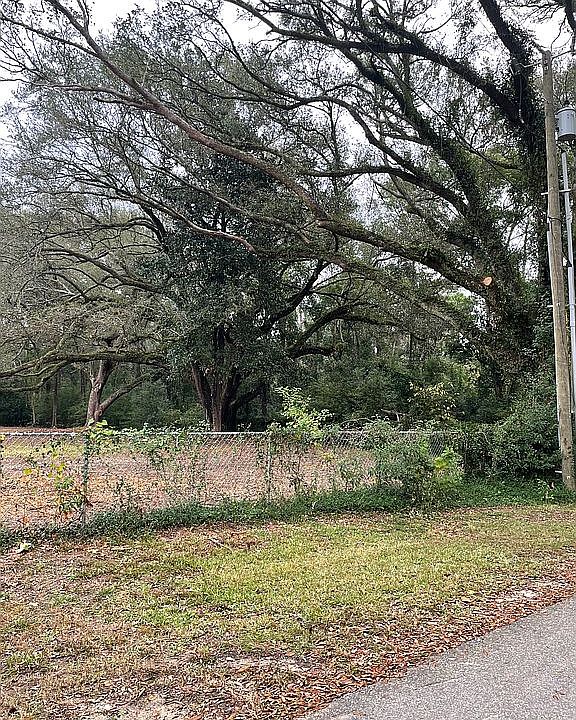 Large Oaks on property