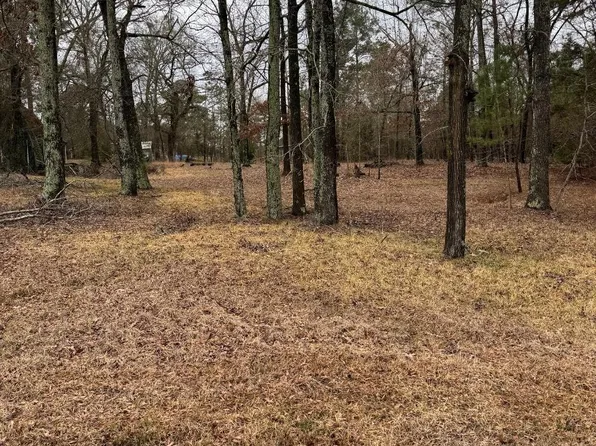 0 N Lakeview Dr, Troup, TX 75789