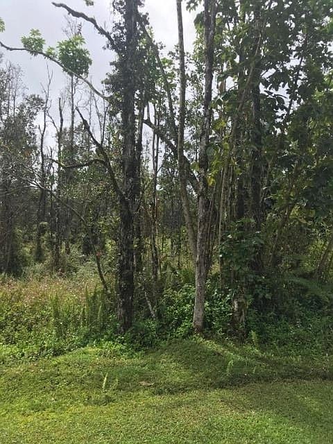 2nd image of Niihau Rd Lot 192