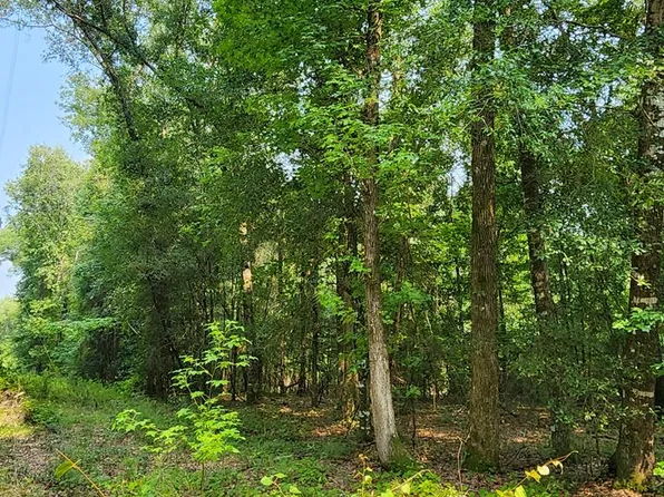 113 Bluff Hollow Rd, Fitzgerald, GA 31750