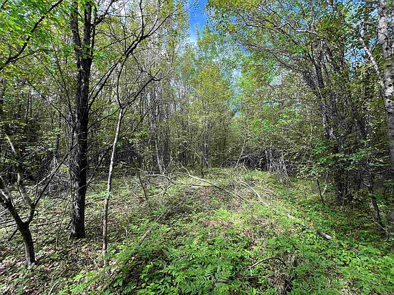 5th image of 269 Walker Rd