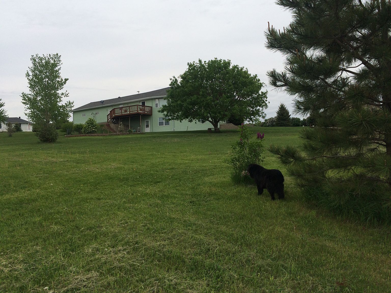 56092 Hollywood Dr, Hoskins, NE 68740 Zillow