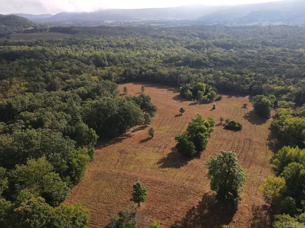 Lick Fork Rd, Marshall, AR 72650