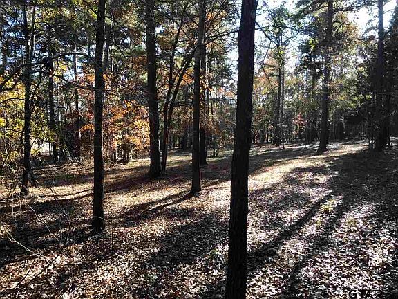 5th image of 8900 County Road 3207