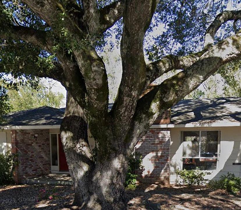 Front yard