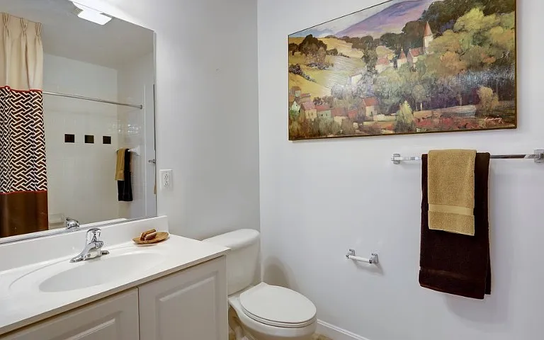 Bathroom in classic apartment home