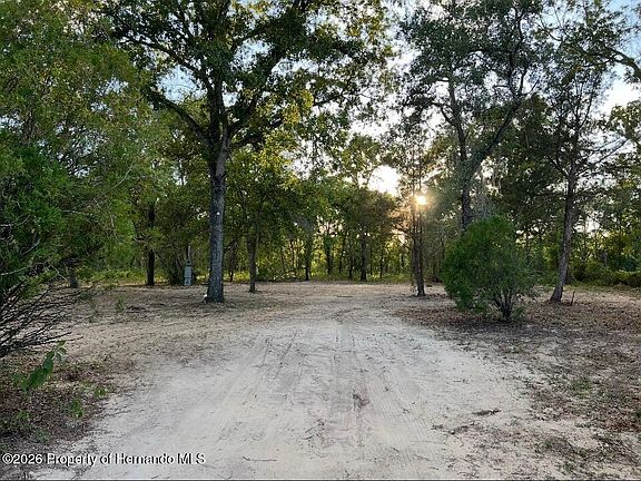 3rd image of 12055 Finch Rd