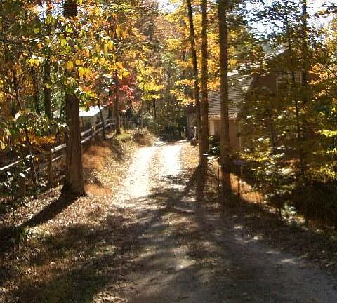 Driveway in fall