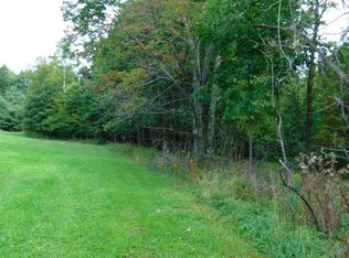 0 Donlan Heights Rd, MIDDLEBURG, NY 12122