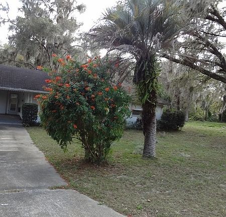 2nd image of 1913 S Westlake Dr