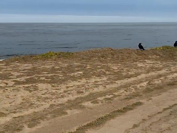 3rd image of Redondo Beach Rd #65-171-050