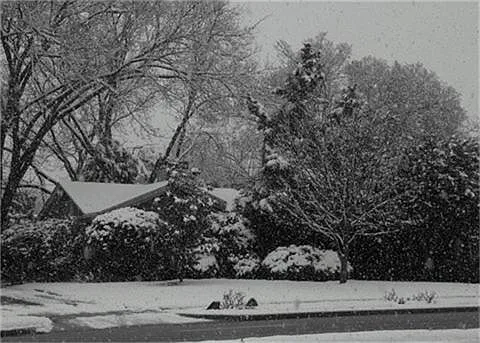 Winter Wonderland
