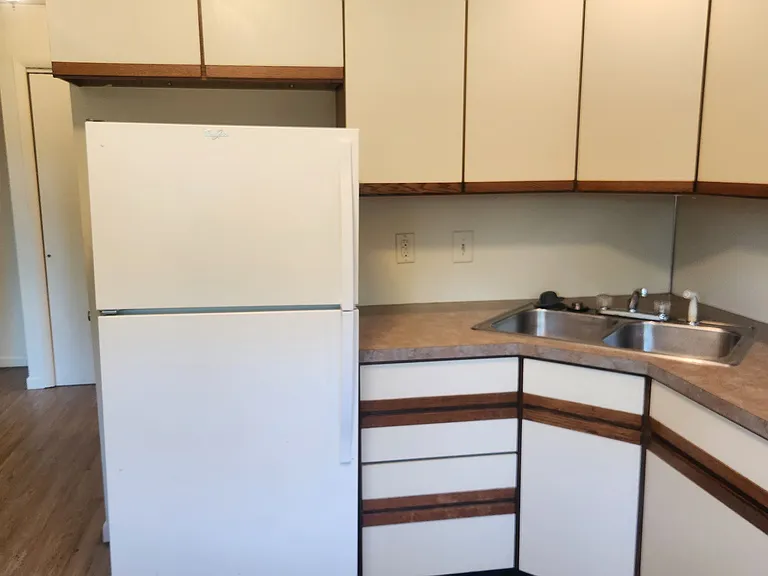 Clean and COLD Fridge