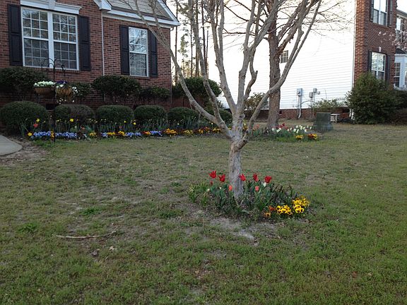 Flower beds with perenniels