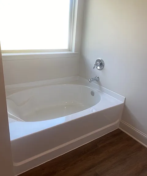 Master Bathtub
